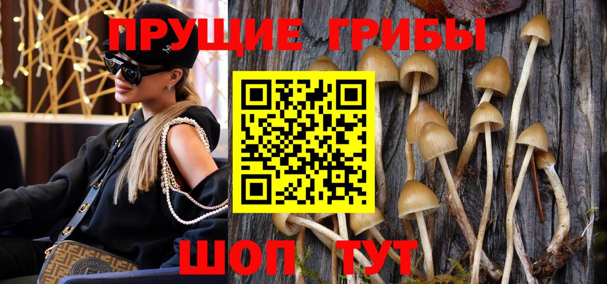 Псилоцибиновые грибы Psilocybine cubensis  Вход с VPN  Лесосибирск 