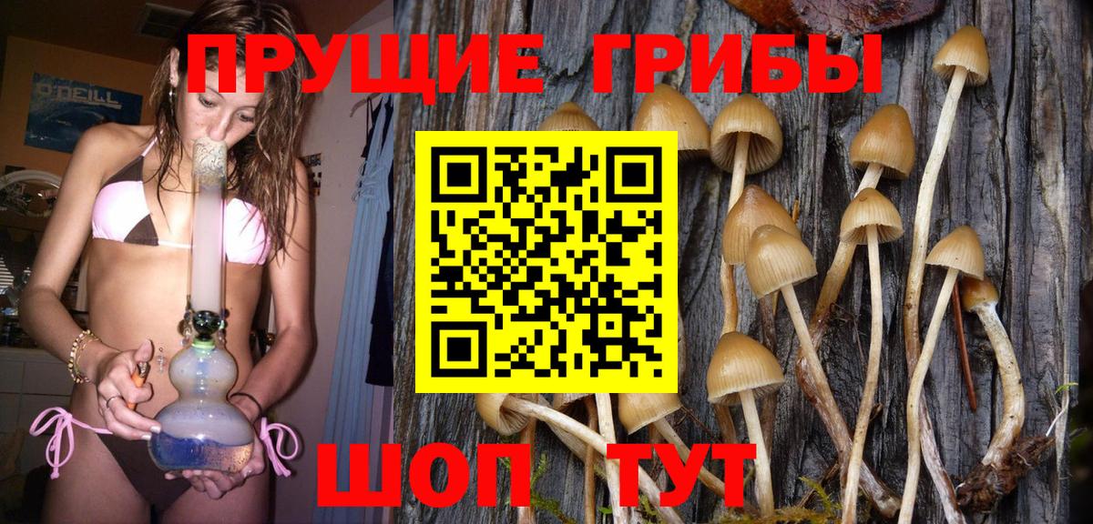Галлюциногенные грибы мухоморы Лесосибирск